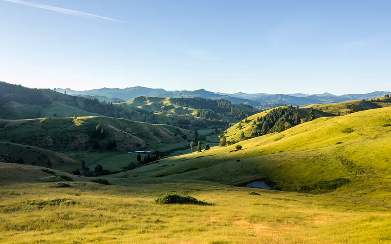 Aaron Cherry — Real Estate Broker, Roseburg, Oregon