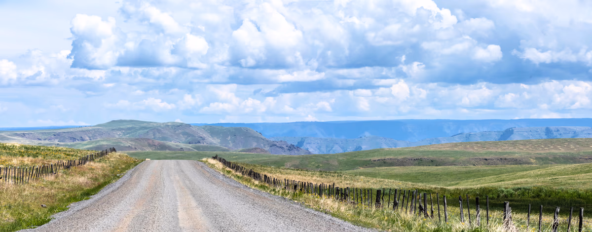 Proactive vs Reactive: How Wisdom Affects Your Housing Decisions