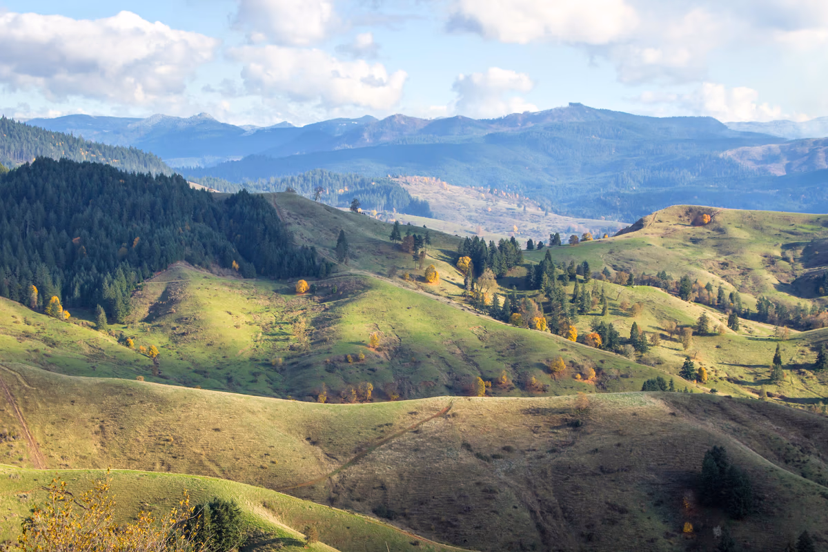 Navigating the Housing Affordability Crisis: The Path Forward