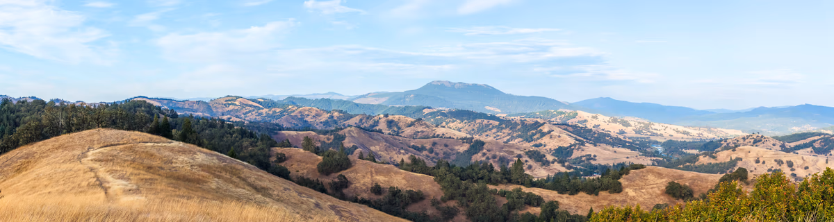 Better Questions, Wiser Decisions: Life Over Market Timing