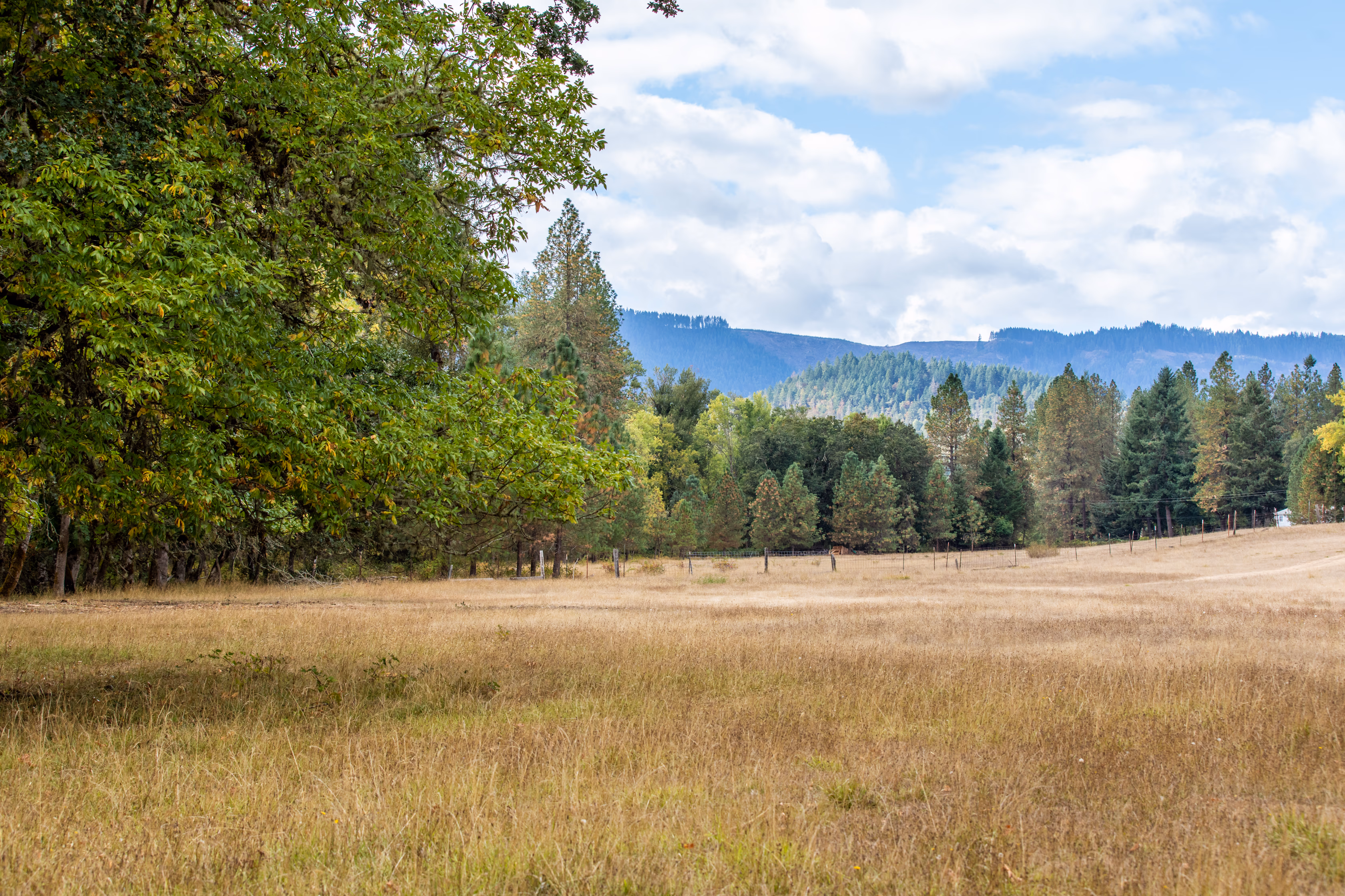 Open meadow with forest backdrop and mountains — Douglas County, Oregon land for sale