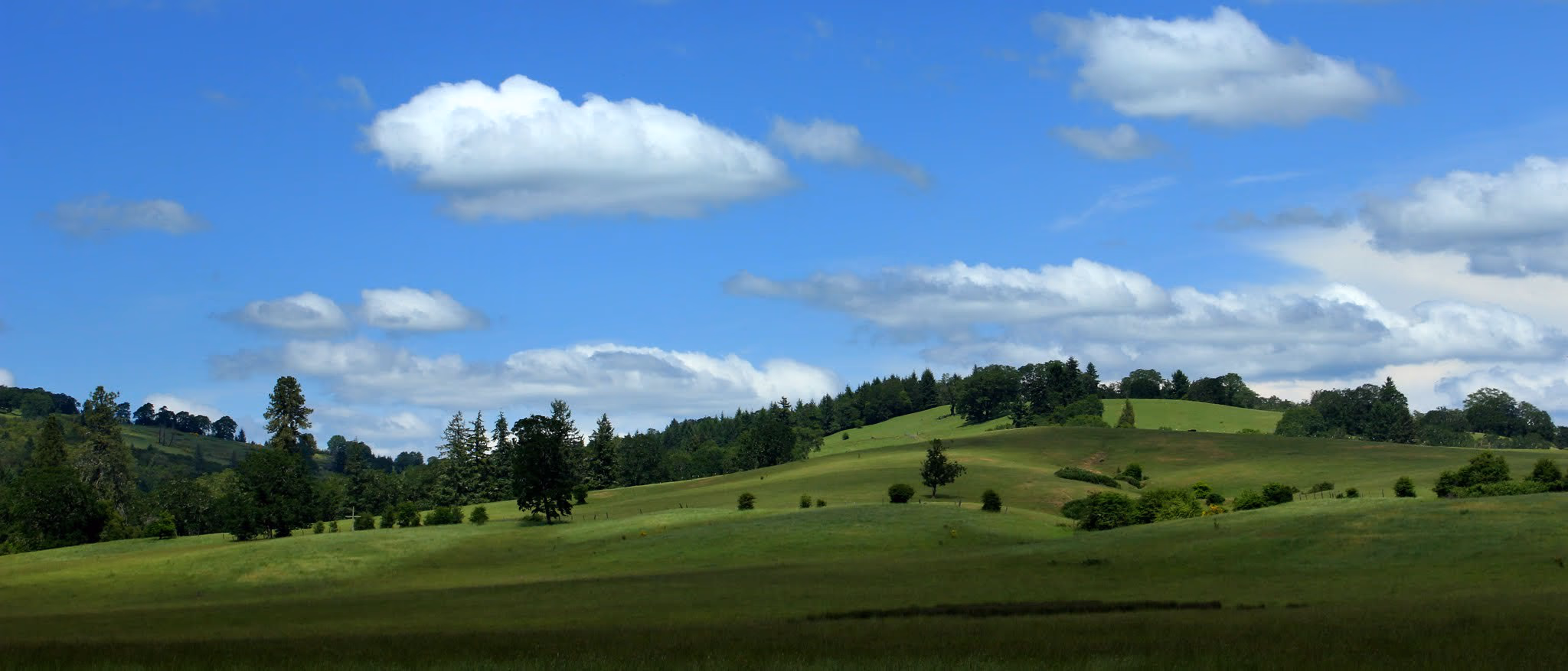 Rolling green pastoral hills with scattered trees and blue sky — Douglas County, Oregon