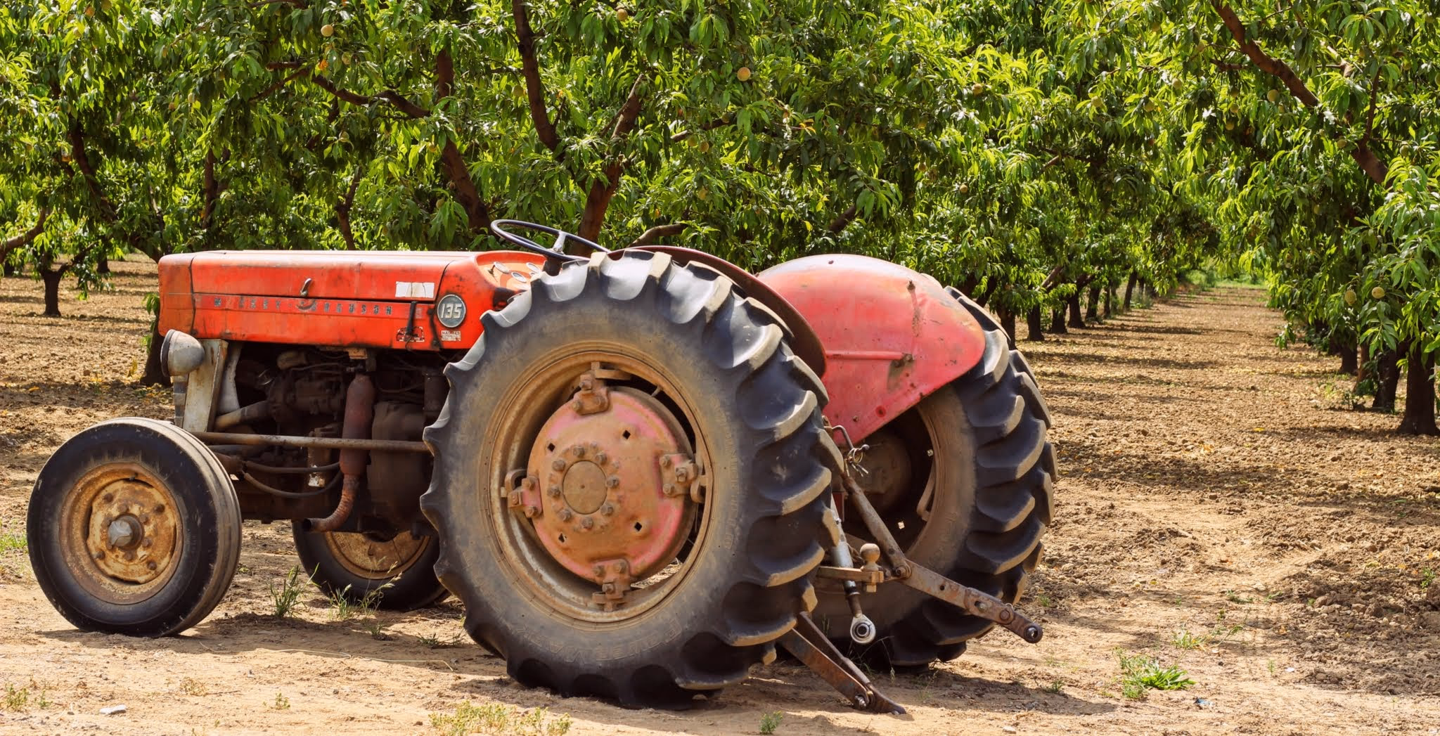 Red tractor in Umpqua Valley orchard — agricultural and rural property expertise by Aaron Cherry Real Estate, Douglas County Oregon